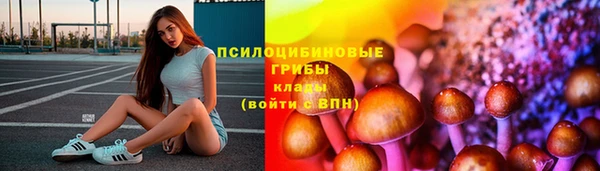 скорость Заводоуковск