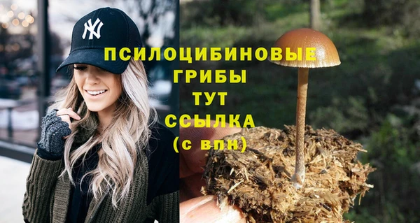 MESCALINE Зерноград