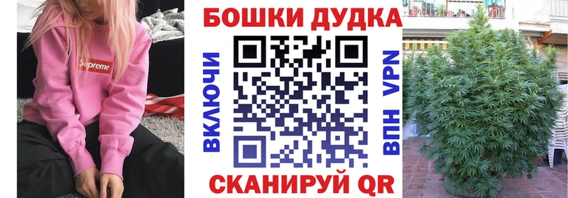 Бошки Шишки планчик  Купить где  Печоры 